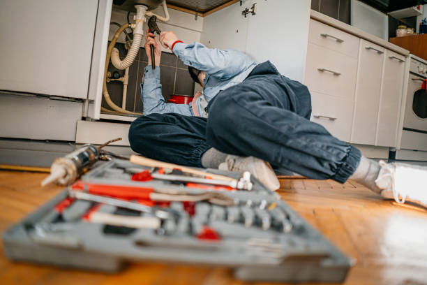 Best Best Plumbers Near Me  in Elgin, MN