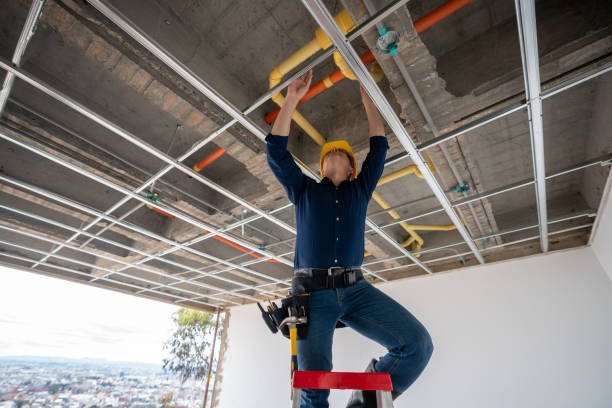 Best Best Plumbers Near Me  in Elgin, MN