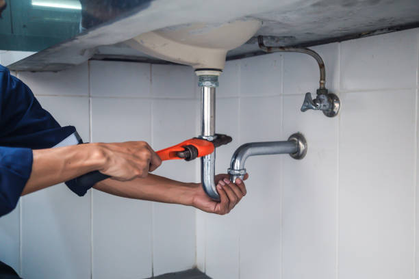 Best Toilet Repair Services  in Elgin, MN