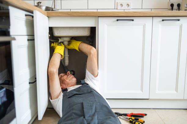 Best Clogged Drain Plumber  in Elgin, MN