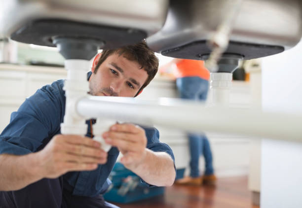 Best Plumbing Inspection Services  in Elgin, MN