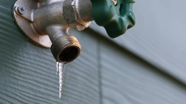 Best Leak Detection Services  in Elgin, MN
