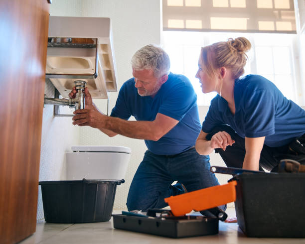 Best Affordable Plumbing Services  in Elgin, MN